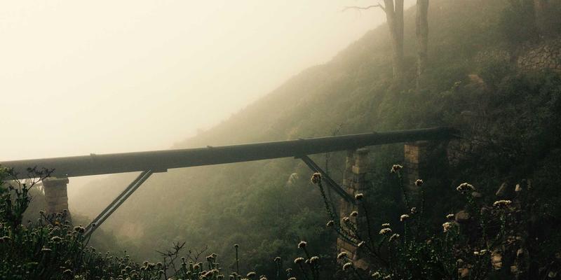 紫色浪潮下的未来物流革命：香港IEX平台物流通证生态构建深度解析