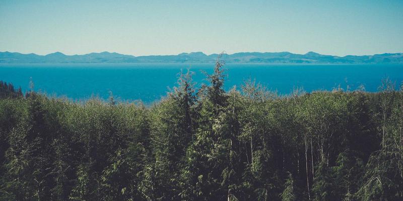 紫色浪潮下的跨境新机遇：深度解析香港IEX支持的数字货币与交易矩阵