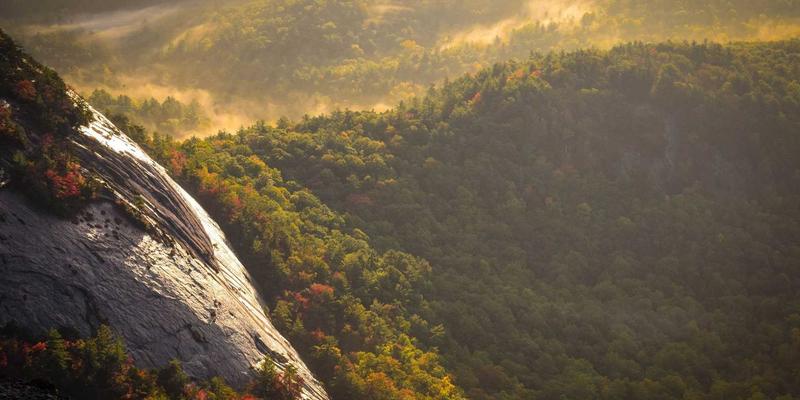 紫色浪潮中的金融革命：香港IEX平台教育中心如何赋能国际物流从业者玩转区块链金融