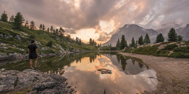 紫色魅力与全球触达：深度评测香港IEX平台的用户体验与移动App