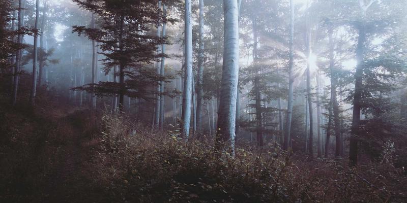 跨境电商资金安全新范式:揭秘香港IEX冷热钱包资产存储与风控体系如何护航供应链与物流