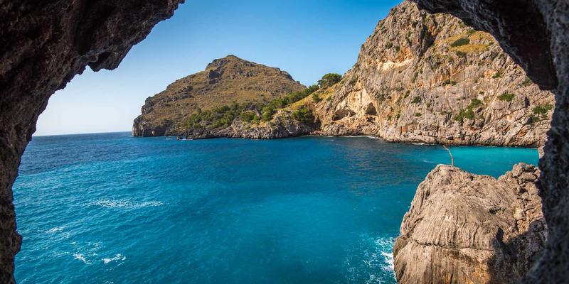 香港IEX交易所注册与身份验证全攻略：赋能国际物流与供应链管理数字化