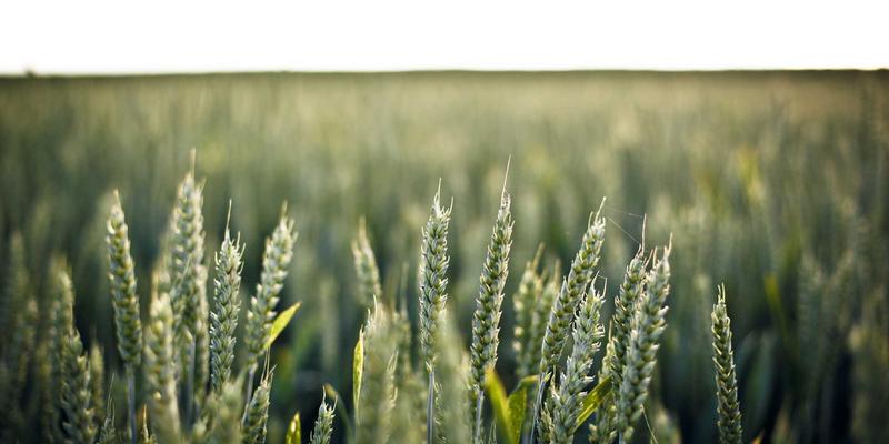 香港IEX平台出入金全解析:如何在国际物流与未来供应链视角下优化资金流转