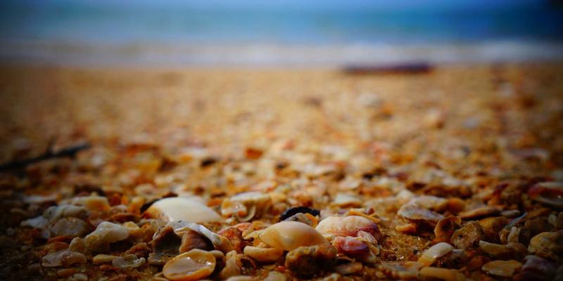 香港IEX平台流动性深度解析：如何以紫色主题赋能全球物流，确保大宗贸易订单即时成交