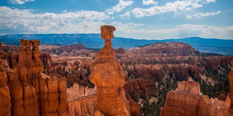 香港IEX平台生态网络：如何以物流科技+支付服务构建金融科技闭环，重塑全球供应链