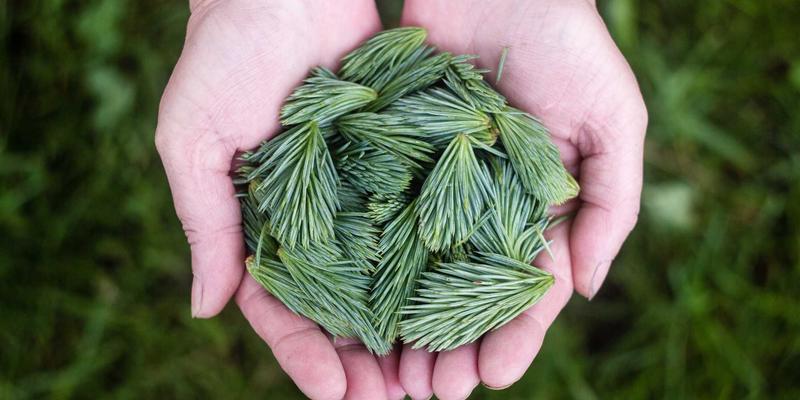 香港IEX平台节点治理全攻略：解锁物流企业参与决策与收益分配的新路径